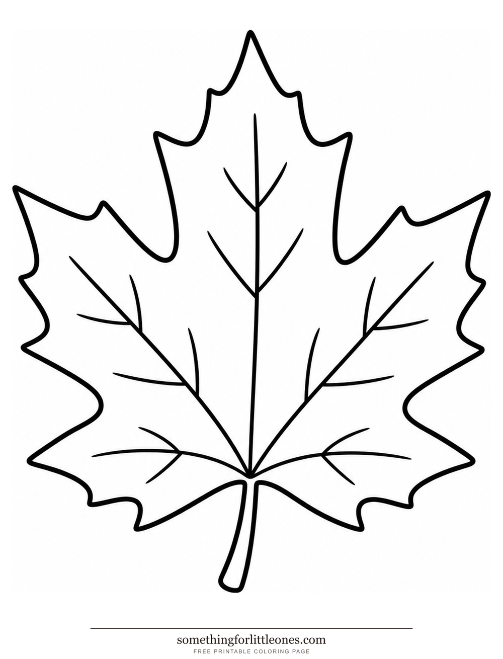 Line drawing of a maple leaf with five lobes, simple veins, and a short stem
